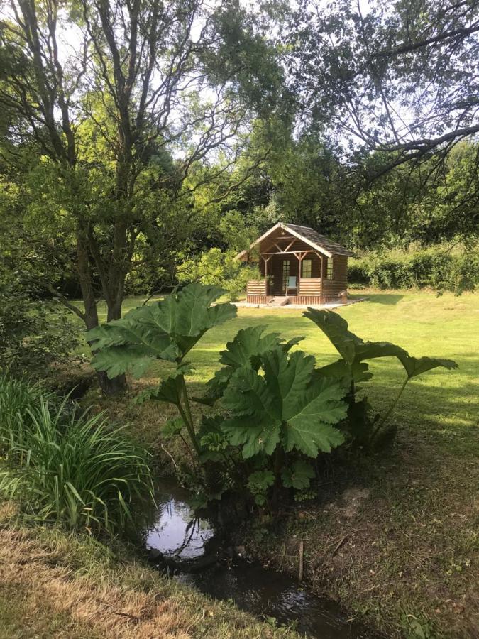 La Paix, Gite Bucolique En Normandie Condé-sur-Noireau Exteriör bild