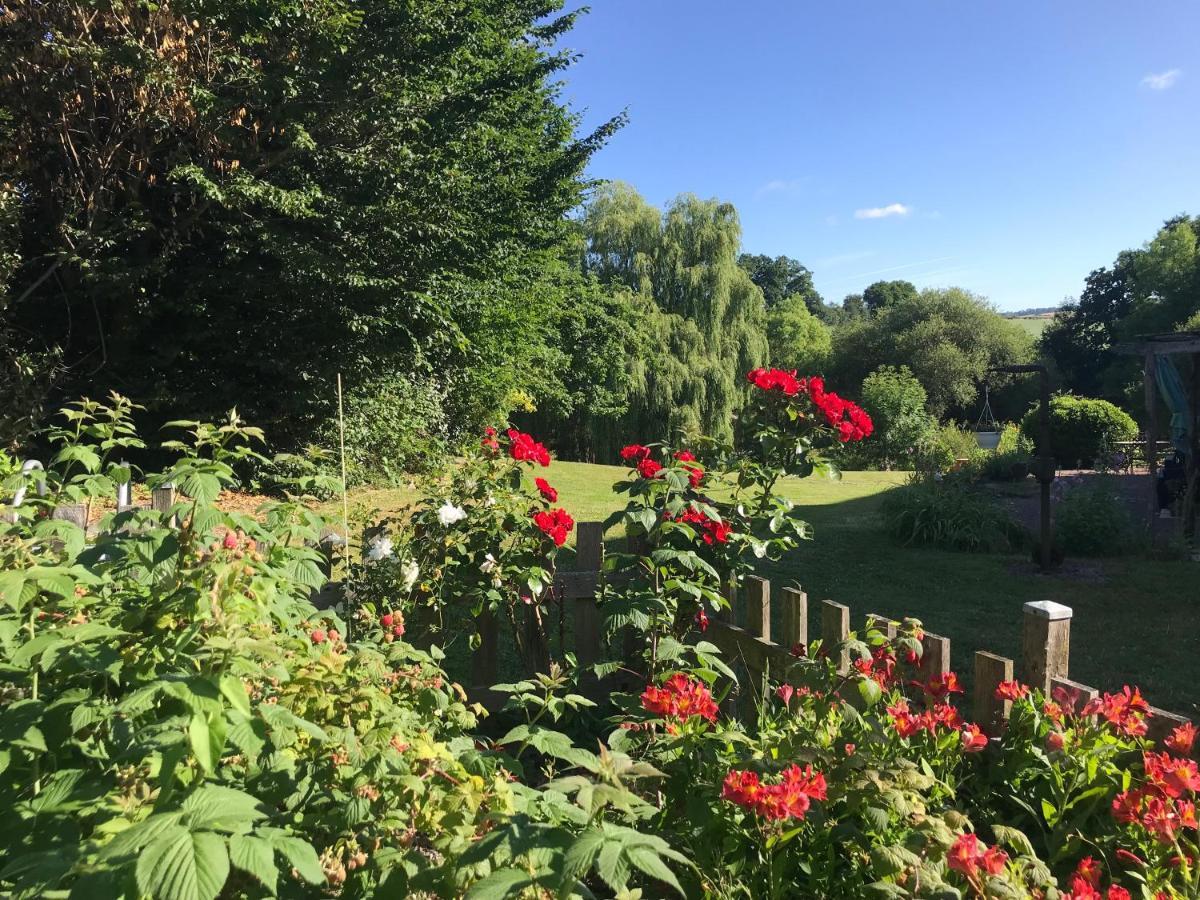 La Paix, Gite Bucolique En Normandie Condé-sur-Noireau Exteriör bild