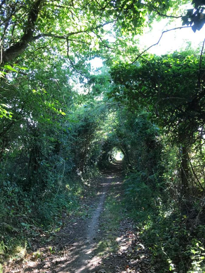 La Paix, Gite Bucolique En Normandie Condé-sur-Noireau Exteriör bild